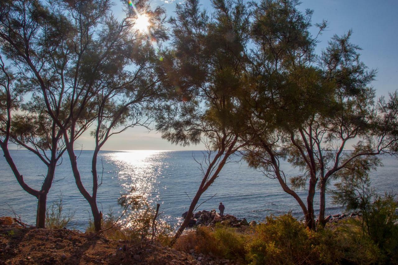 Abelomilos Exclusive Villa อิเมโรวิยอน ภายนอก รูปภาพ